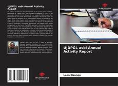 Buchcover von UJDPGL asbl Annual Activity Report