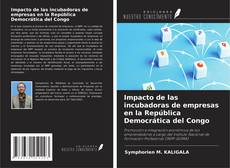 Borítókép a  Impacto de las incubadoras de empresas en la República Democrática del Congo - hoz