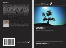 Borítókép a  Celulosa - hoz