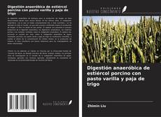 Portada del libro de Digestión anaeróbica de estiércol porcino con pasto varilla y paja de trigo