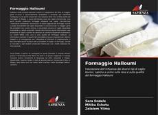 Formaggio Halloumi的封面