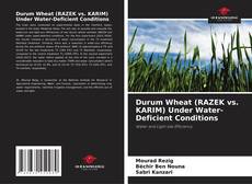 Обложка Durum Wheat (RAZEK vs. KARIM) Under Water-Deficient Conditions