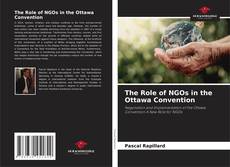 The Role of NGOs in the Ottawa Convention kitap kapağı
