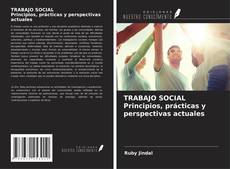 Bookcover of TRABAJO SOCIAL Principios, prácticas y perspectivas actuales