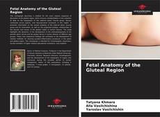 Fetal Anatomy of the Gluteal Region的封面