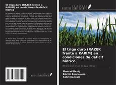 Bookcover of El trigo duro (RAZEK frente a KARIM) en condiciones de déficit hídrico