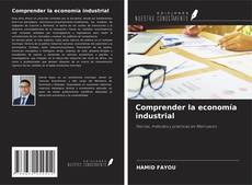 Comprender la economía industrial的封面