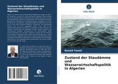 Portada del libro de Zustand der Staudämme und Wasserwirtschaftspolitik in Algerien