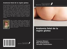 Capa do livro de Anatomía fetal de la región glútea 