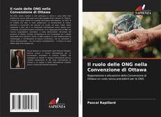 Bookcover of Il ruolo delle ONG nella Convenzione di Ottawa
