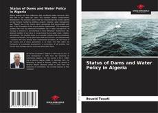 Bookcover of Status of Dams and Water Policy in Algeria