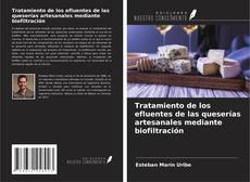 Обложка Tratamiento de los efluentes de las queserías artesanales mediante biofiltración