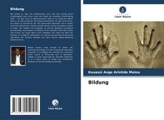 Portada del libro de Bildung