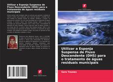 Utilizar a Esponja Suspensa de Fluxo Descendente (DHS) para o tratamento de águas residuais municipais kitap kapağı