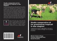 Portada del libro de Studio comparativo di tre graminacee tropicali in due stagioni
