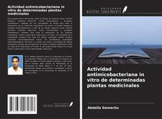 Bookcover of Actividad antimicobacteriana in vitro de determinadas plantas medicinales