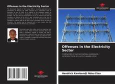 Bookcover of Offenses in the Electricity Sector