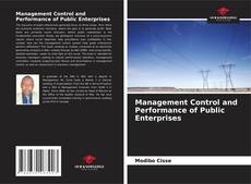 Bookcover of Management Control and Performance of Public Enterprises