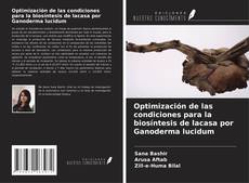 Bookcover of Optimización de las condiciones para la biosíntesis de lacasa por Ganoderma lucidum