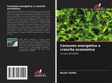 Bookcover of Consumo energetico e crescita economica