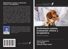 Ehrlichiosis canina: evaluación clínica y terapéutica的封面