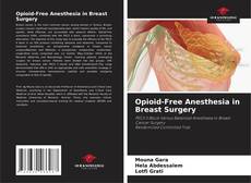 Bookcover of Opioid-Free Anesthesia in Breast Surgery