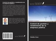 Bookcover of Control de gestión y rendimiento de la empresa pública