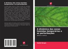 Обложка A dinâmica das zonas húmidas temporárias e as perturbações