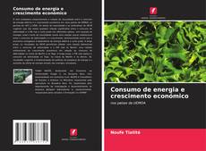 Consumo de energia e crescimento económico kitap kapağı