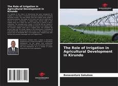 Bookcover of The Role of Irrigation in Agricultural Development in Kirundo