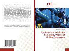 Copertina di Physique Industrielle: Air Comprimé, Vapeur et Fluides Thermiques