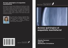 Borítókép a  Acceso quirúrgico al esqueleto maxilofacial - hoz