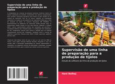 Couverture de Supervisão de uma linha de preparação para a produção de tijolos