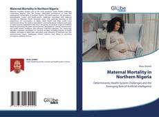 Maternal Mortality in Northern Nigeria kitap kapağı