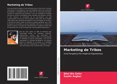 Portada del libro de Marketing de Tribos