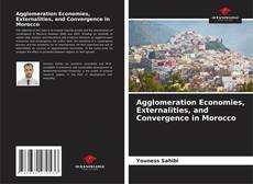Обложка Agglomeration Economies, Externalities, and Convergence in Morocco