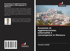 Bookcover of Economie di agglomerazione, esternalità e convergenza in Marocco