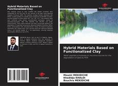 Bookcover of Hybrid Materials Based on Functionalized Clay
