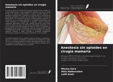 Bookcover of Anestesia sin opioides en cirugía mamaria