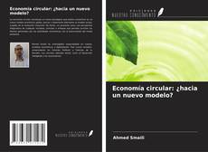 Bookcover of Economía circular: ¿hacia un nuevo modelo?
