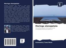 Copertina di Moringa stenopetala