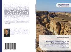 Bookcover of Sedimentary Phosphorites of the Tethyan Atlantic Domain