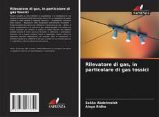 Rilevatore di gas, in particolare di gas tossici kitap kapağı