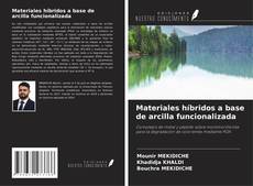 Materiales híbridos a base de arcilla funcionalizada的封面