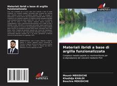 Materiali ibridi a base di argilla funzionalizzata的封面