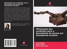 Обложка Otimização das condições para a biossíntese de lacase por Ganoderma lucidum