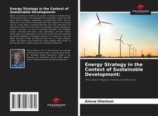 Capa do livro de Energy Strategy in the Context of Sustainable Development: 