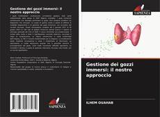 Bookcover of Gestione dei gozzi immersi: il nostro approccio