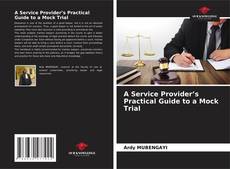 A Service Provider’s Practical Guide to a Mock Trial kitap kapağı