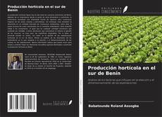 Bookcover of Producción hortícola en el sur de Benín